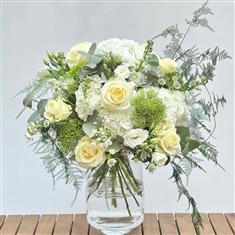 The Lordship Elegance