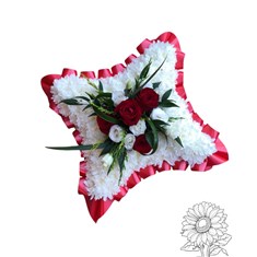 Cushion